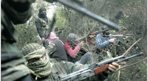 Peut-on parler de « rebelles » syriens ?