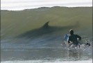 Un surfeur dévoré sauvagement par un requin