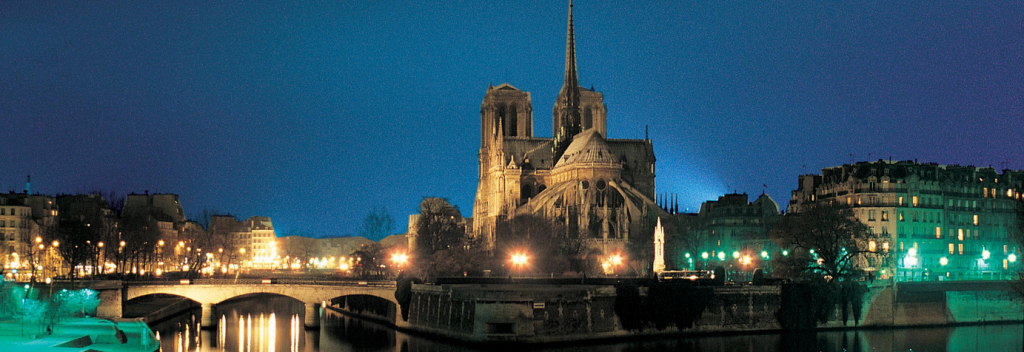 paris frelon paris frelon1 1024x352 Le frelon asiatique envahit la France et tue plusieurs personnes