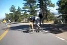 Percuté par un cerf dans une course de skateboard !