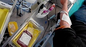 Homosexualité : 1ier vecteur de VIH par transfusion ?