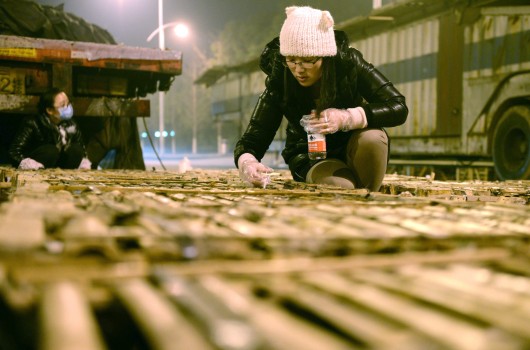 Chine: 1000 chats qui devaient finir dans des restaurants, sauvés par un accident de la route 295928 530x350 Chine: 1000 chats qui devaient finir dans des restaurants, sauvés par un accident de la route