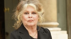 Brigitte Bardot amuse le gouvernement et divise l’opinion publique