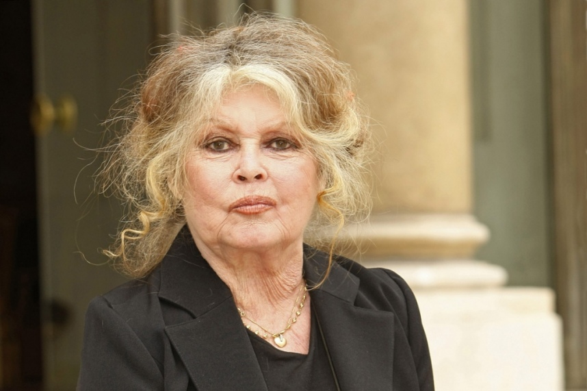  Brigitte Bardot amuse le gouvernement et divise lopinion publique