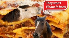 Lasagne Gate : l’interdiction des attelages de chevaux en Roumanie responsable du scandale ?