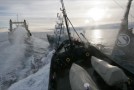 Sea Sheperd : « des pirates » selon la Cour d’appel de San Francisco