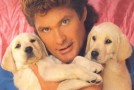 David Hasselhoff veut sauver le mur de Berlin