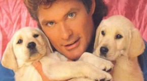 David Hasselhoff veut sauver le mur de Berlin