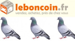 Le Bon Coin : les perles du site compilées sur un compte Twitter